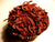 Choclate Cup Cakes